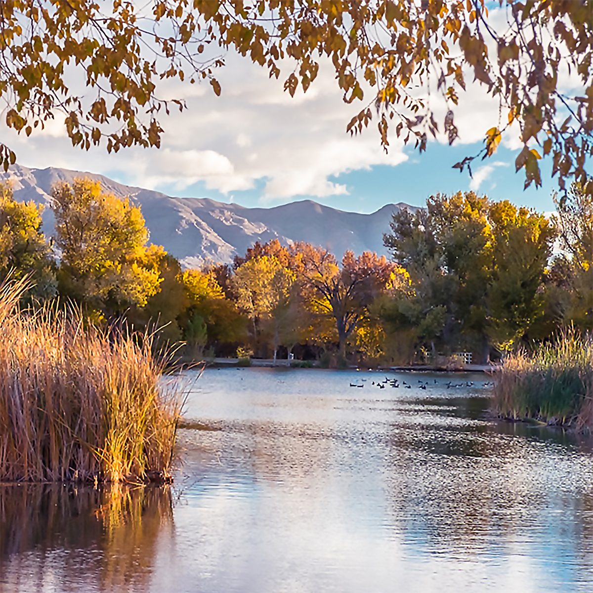 Floyd Lamb Park, Las Vegas, Nevada