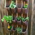How to Grow a Hanging Herb Garden in a Shoe Organizer