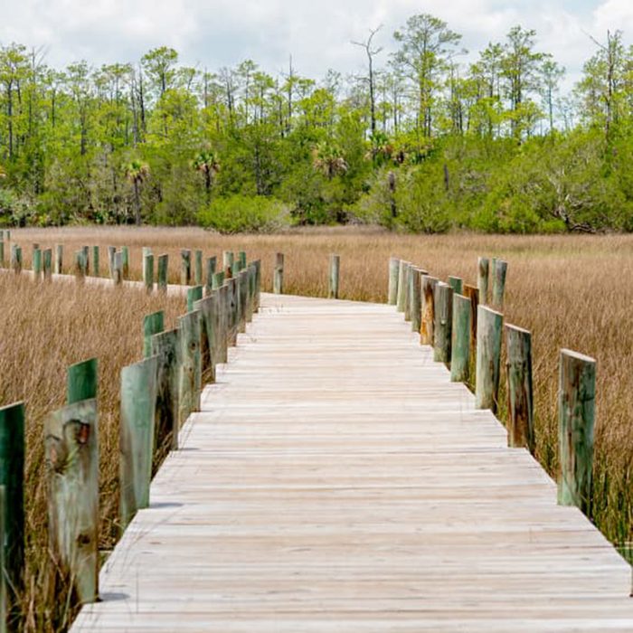 best picnic spot Palmetto Islands County Park