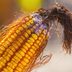 Those Reddish-Pink Ends on the End of Your Corn Are Actually Corn Mold