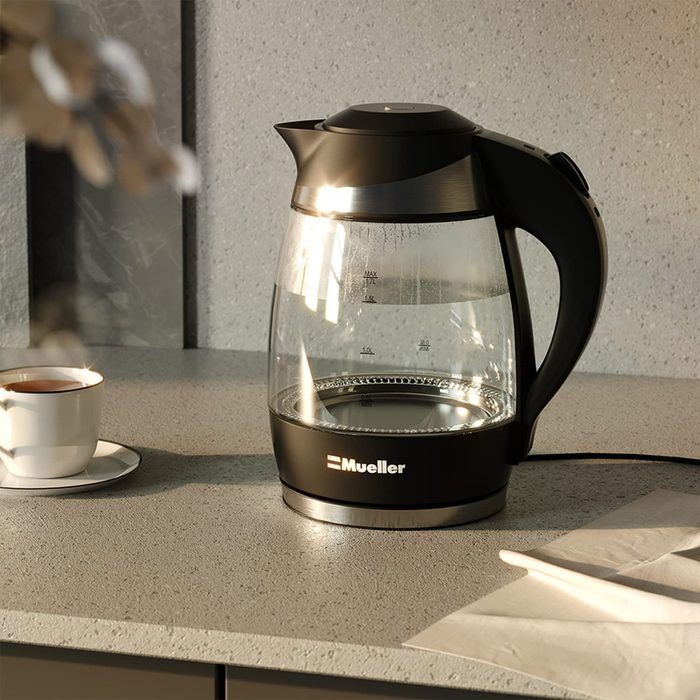 Mueller Electric Tea Kettle
