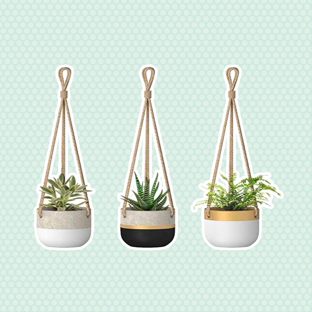 Dahey 3tm8ld5 Dahey 3 Pack Small Cement Hanging