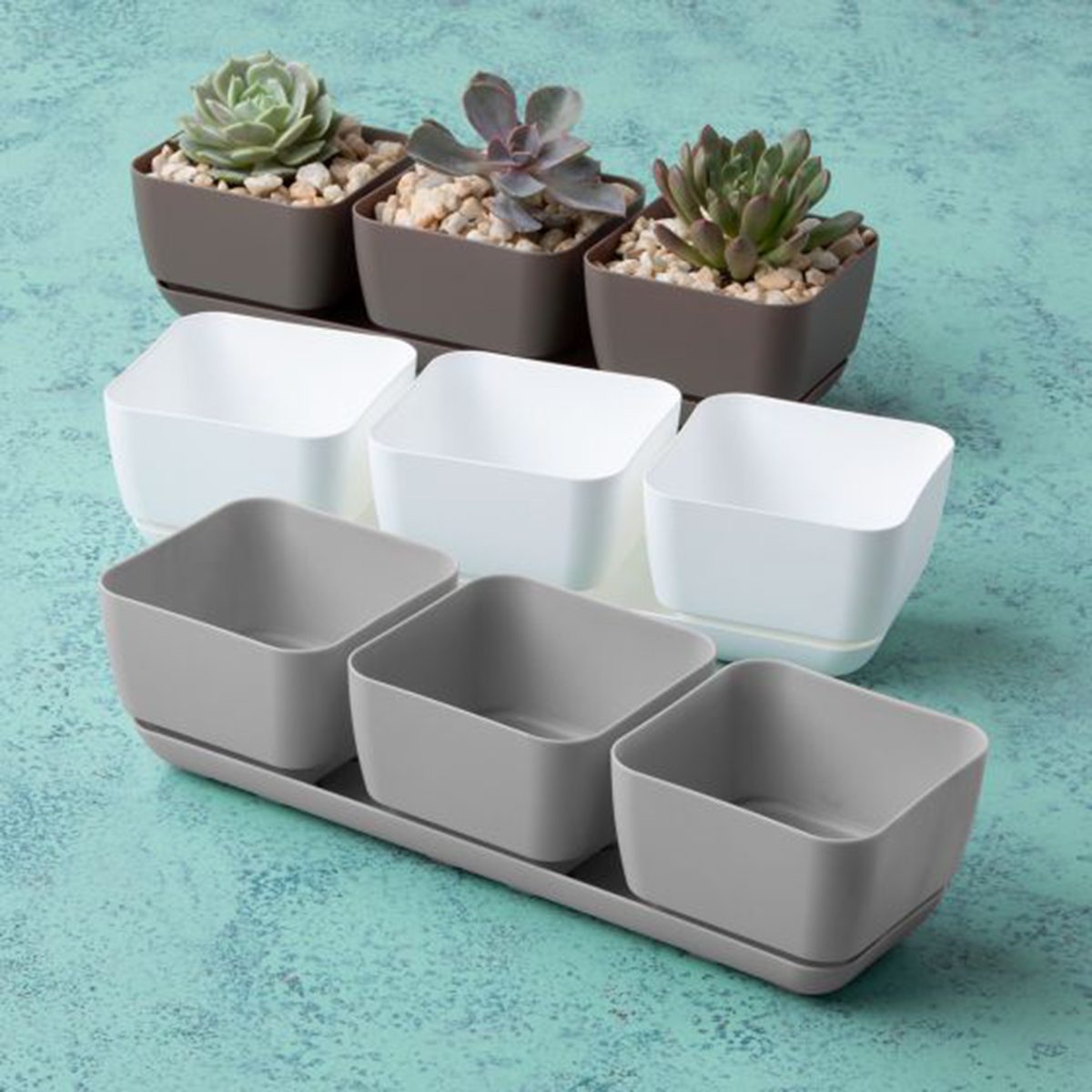 Herb And Succulent Trio Planter
