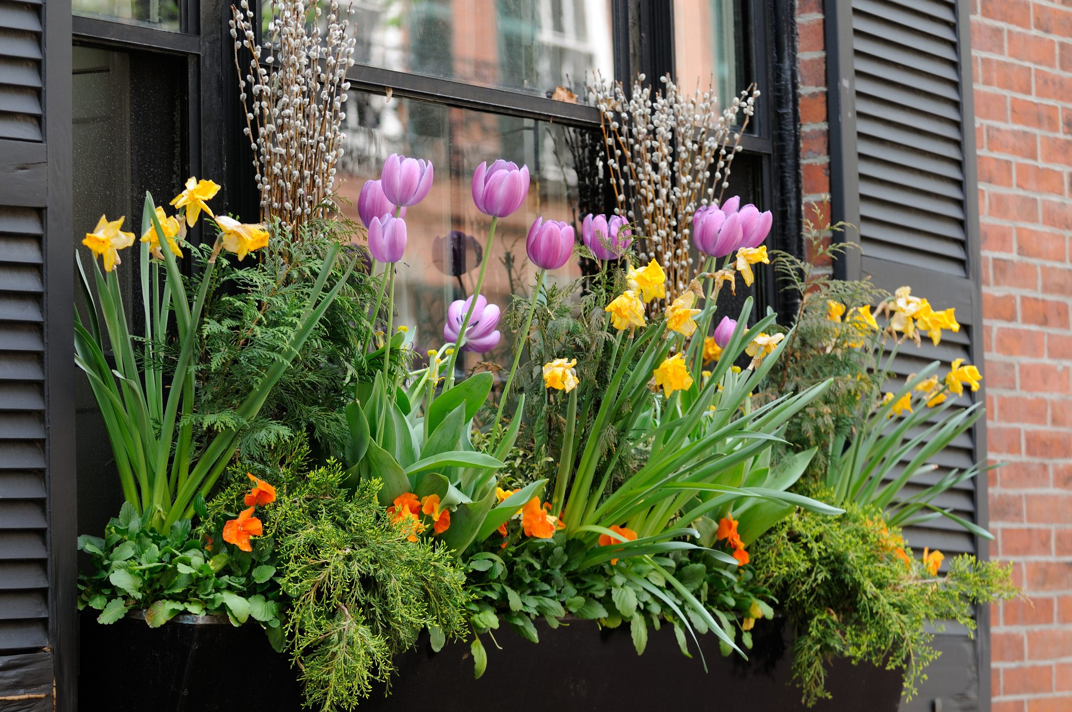 Window Box Flower Arrangement