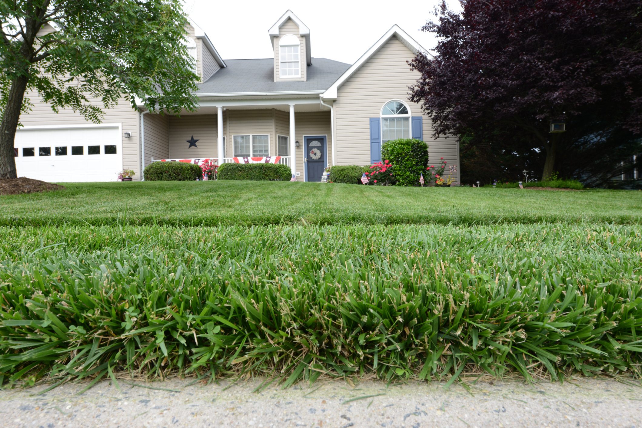 Close up of grass in front yard of house