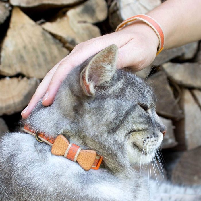Matching Collar and Friendship Bracelet