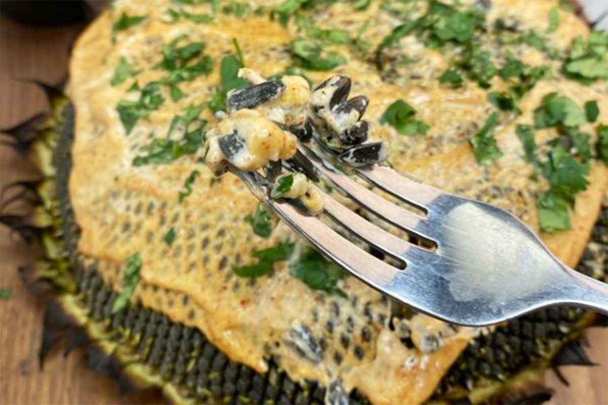 Eating Grilled Sunflower Head