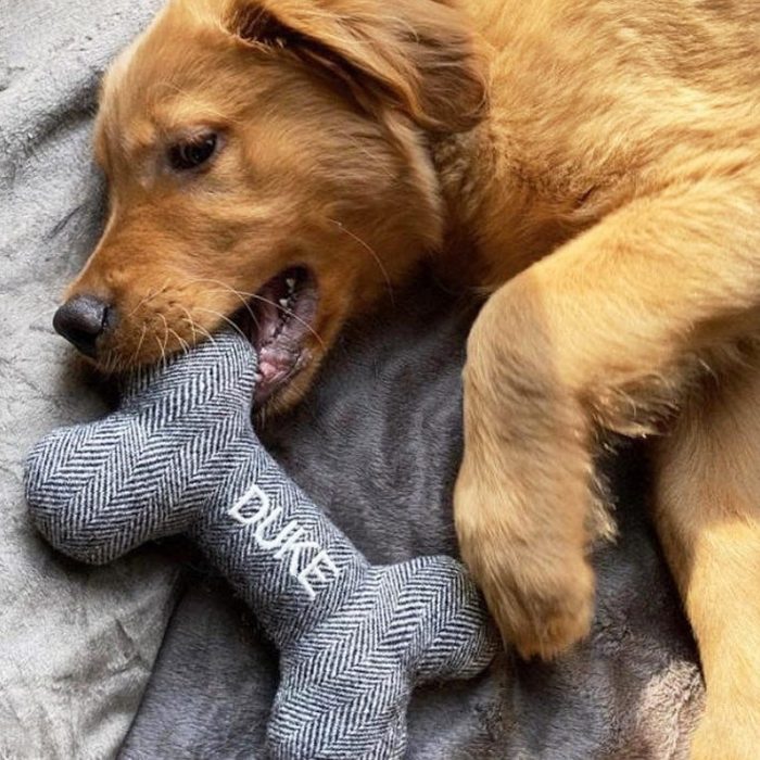 Personalized Dog Toy