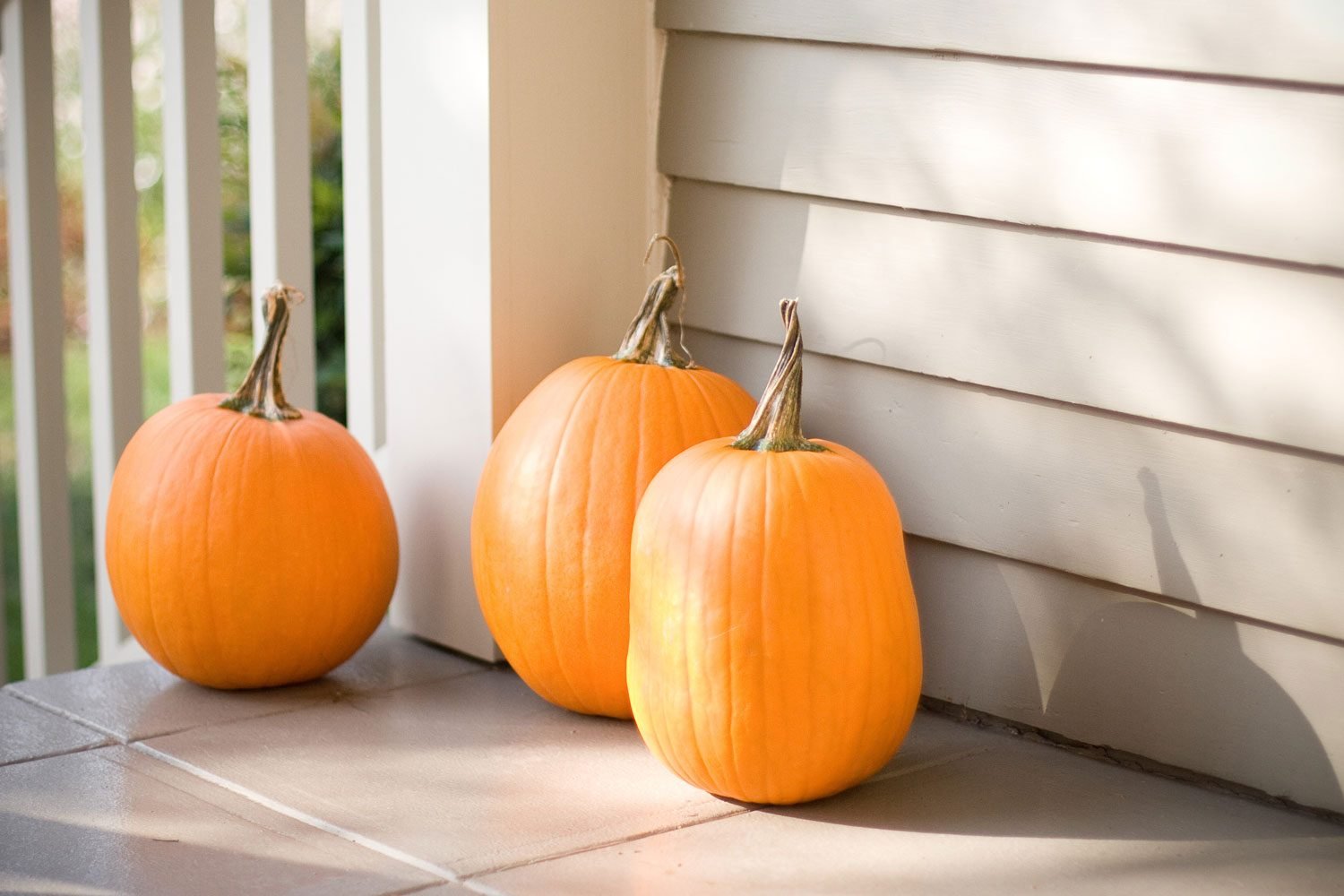 Here’s What to Do with Your Pumpkins After Halloween