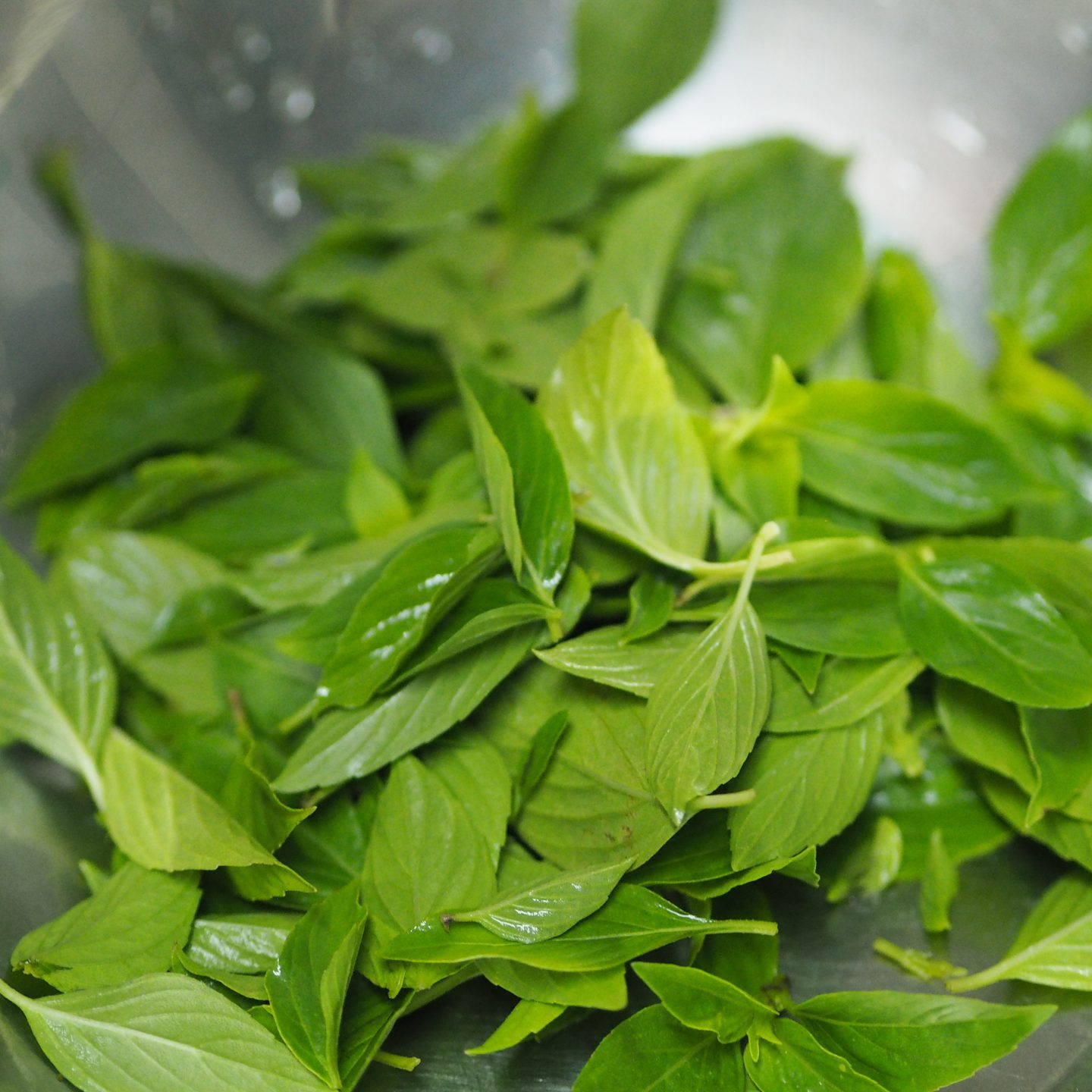 Thai basil in a steel bowl