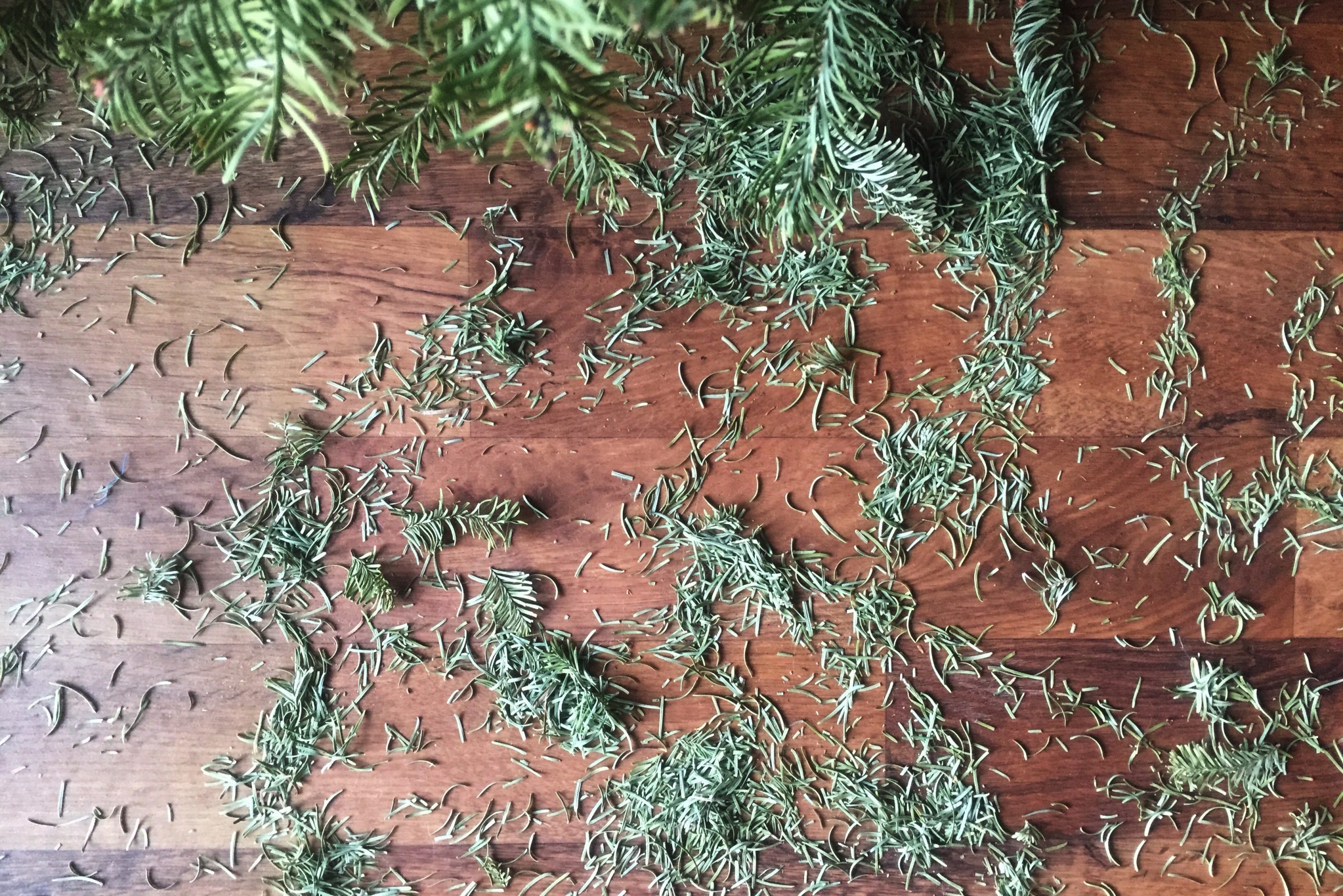 How to Clean Up Christmas Tree Needles
