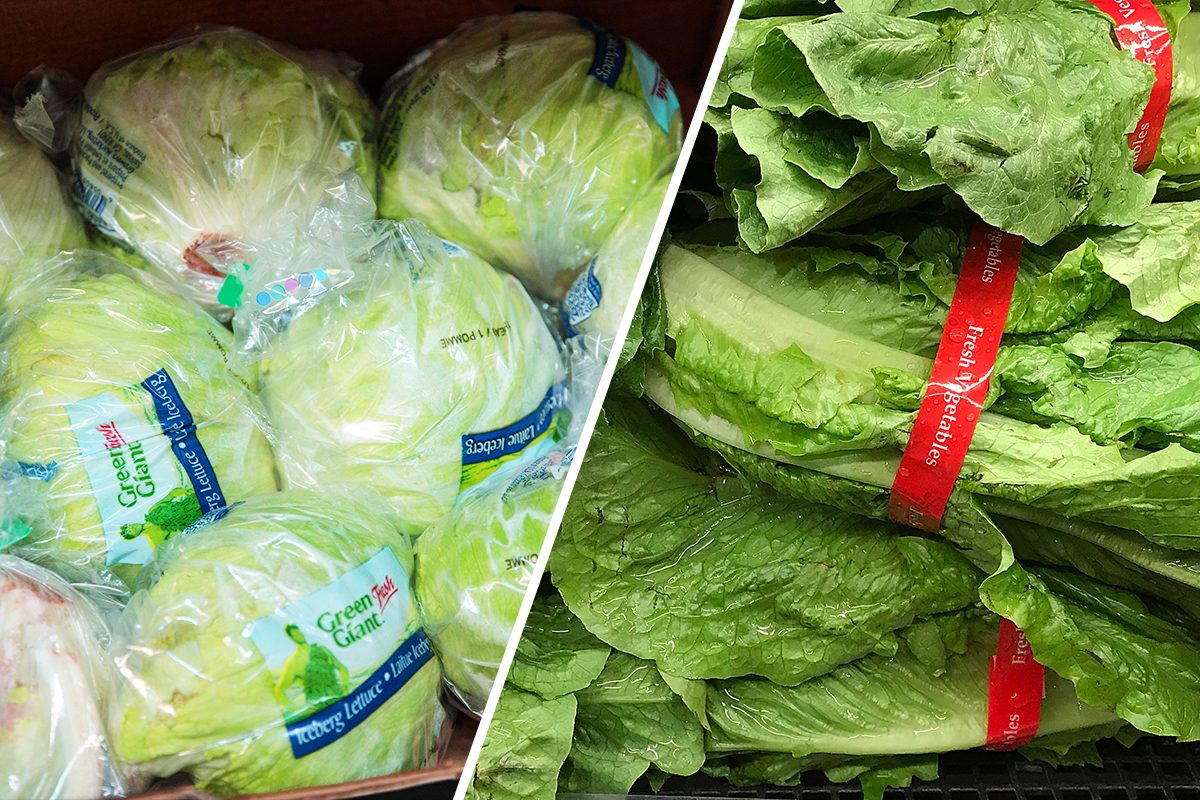 What’s the Difference Between Iceberg Lettuce and Romaine?