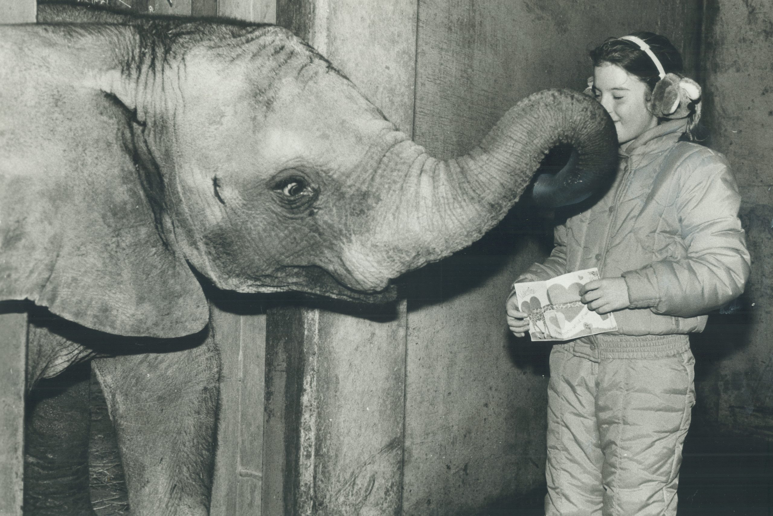 Sealed with a kiss: Nine-year-old Sarah Grahek of Toronto delivered a Valentine