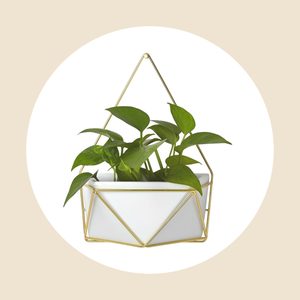 Succulent Wall Geometric Hanging White Gold Project Ecomm