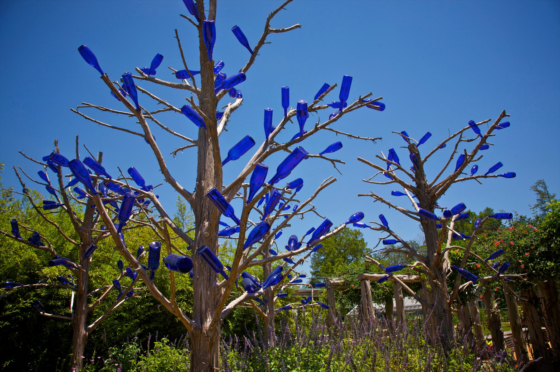 What’s a Bottle Tree—and How Do I Make One?