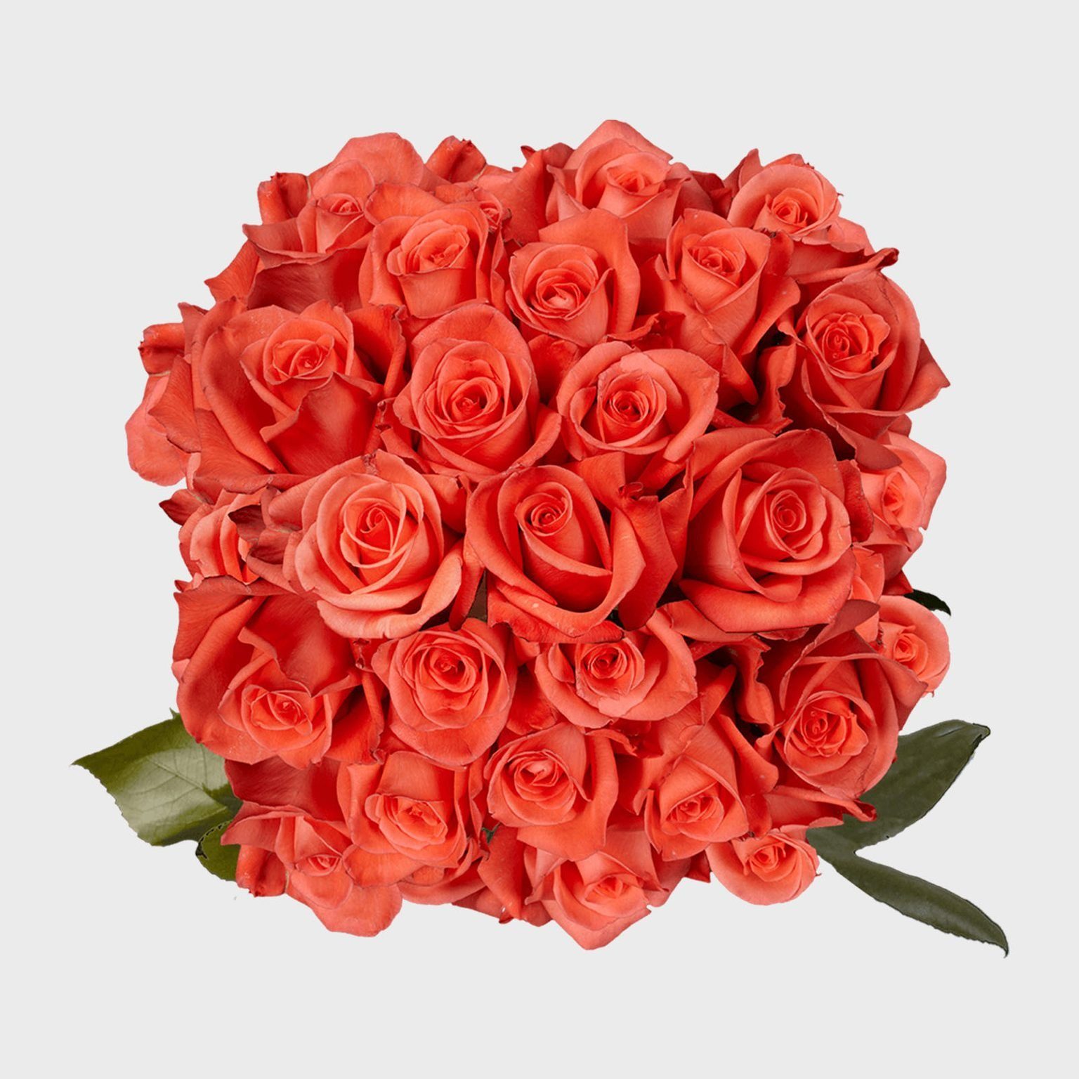 Toh 4 Salmon Rose Bouquet Via Globalrose Ecomm