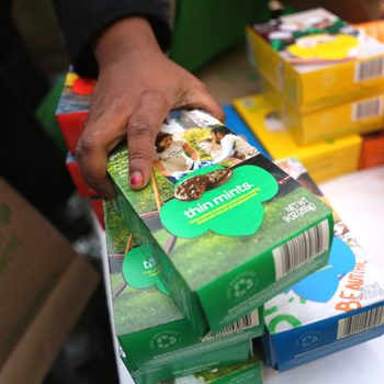 Thin Mints Gettyimages 160975415