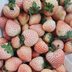 White Strawberry Plants Are Real—and the Fruit Tastes Like Pineapple