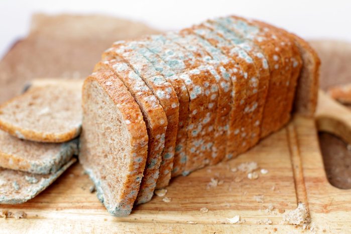 Moldy loaf of bread