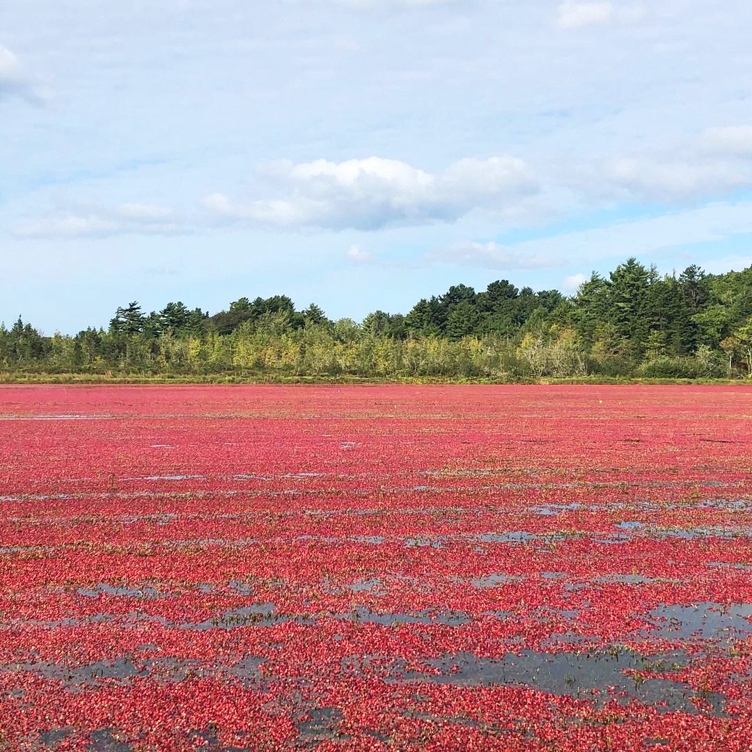 A D Makepeace Company Farm Tour Massachusettes Via Instagram.com