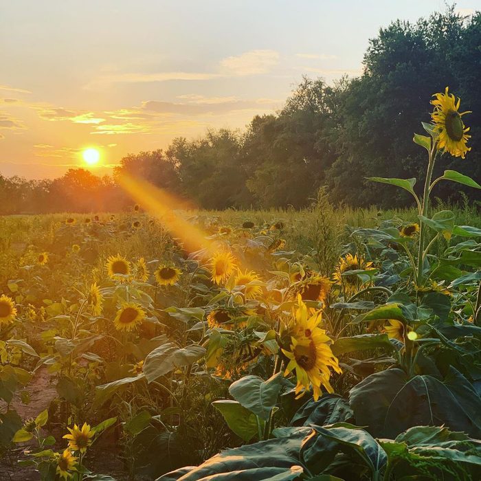 Mckee Beshers Farm Tour Maryland Via Instagram.com