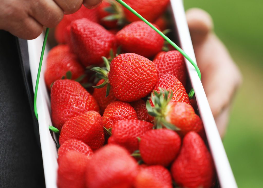 How to Pick the Juiciest Strawberries at the Store or on the Farm