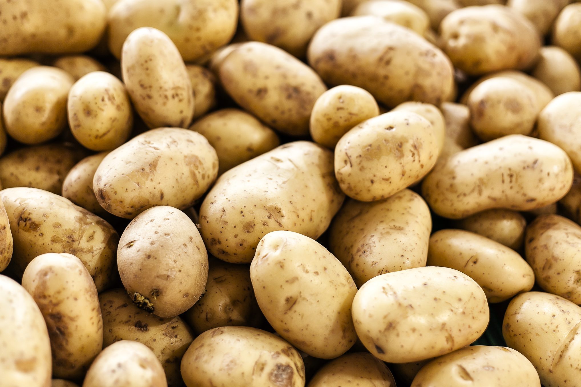 Can You Eat Raw Potatoes?