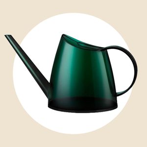 Whalelife Indoor Watering Can Ecomm Via Amazon.com