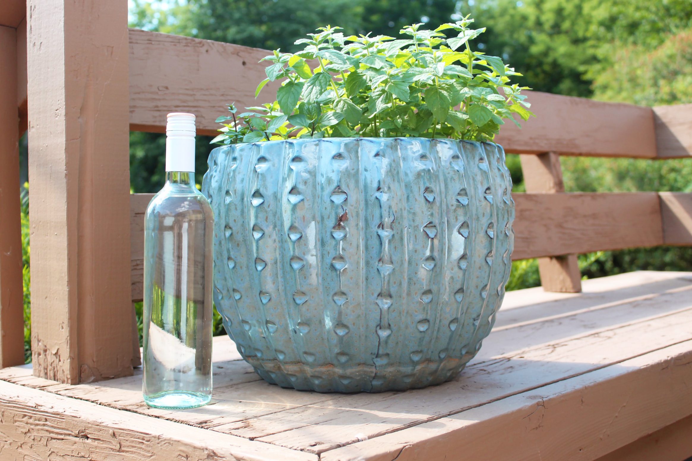 How to Use Wine Bottles to Water Plants While You’re on Vacation