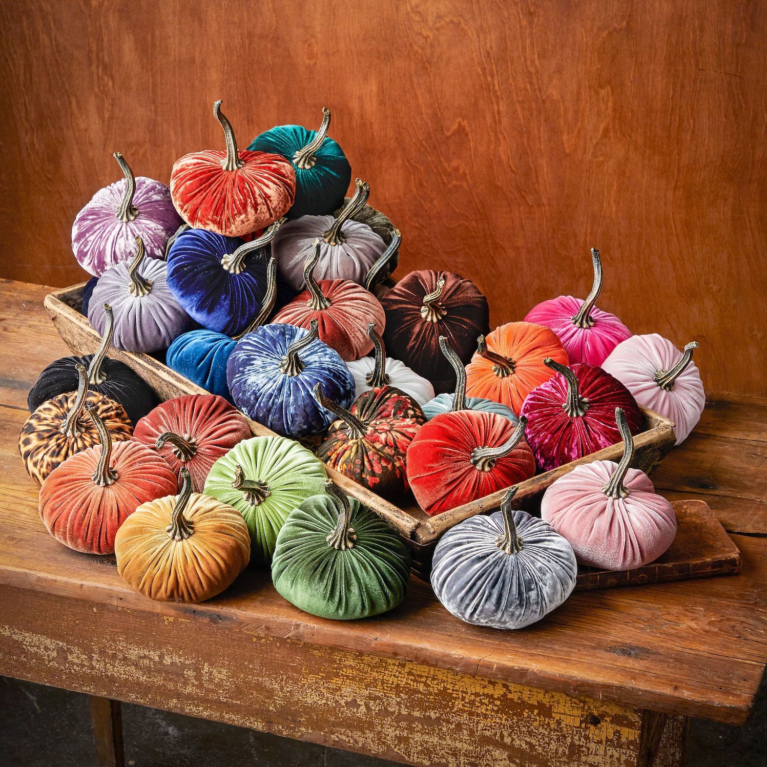 velvet pumpkins