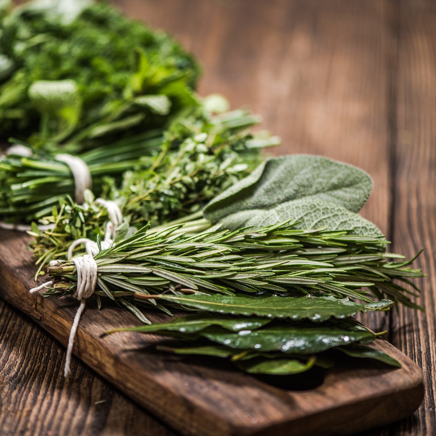 natural aromatic herbs