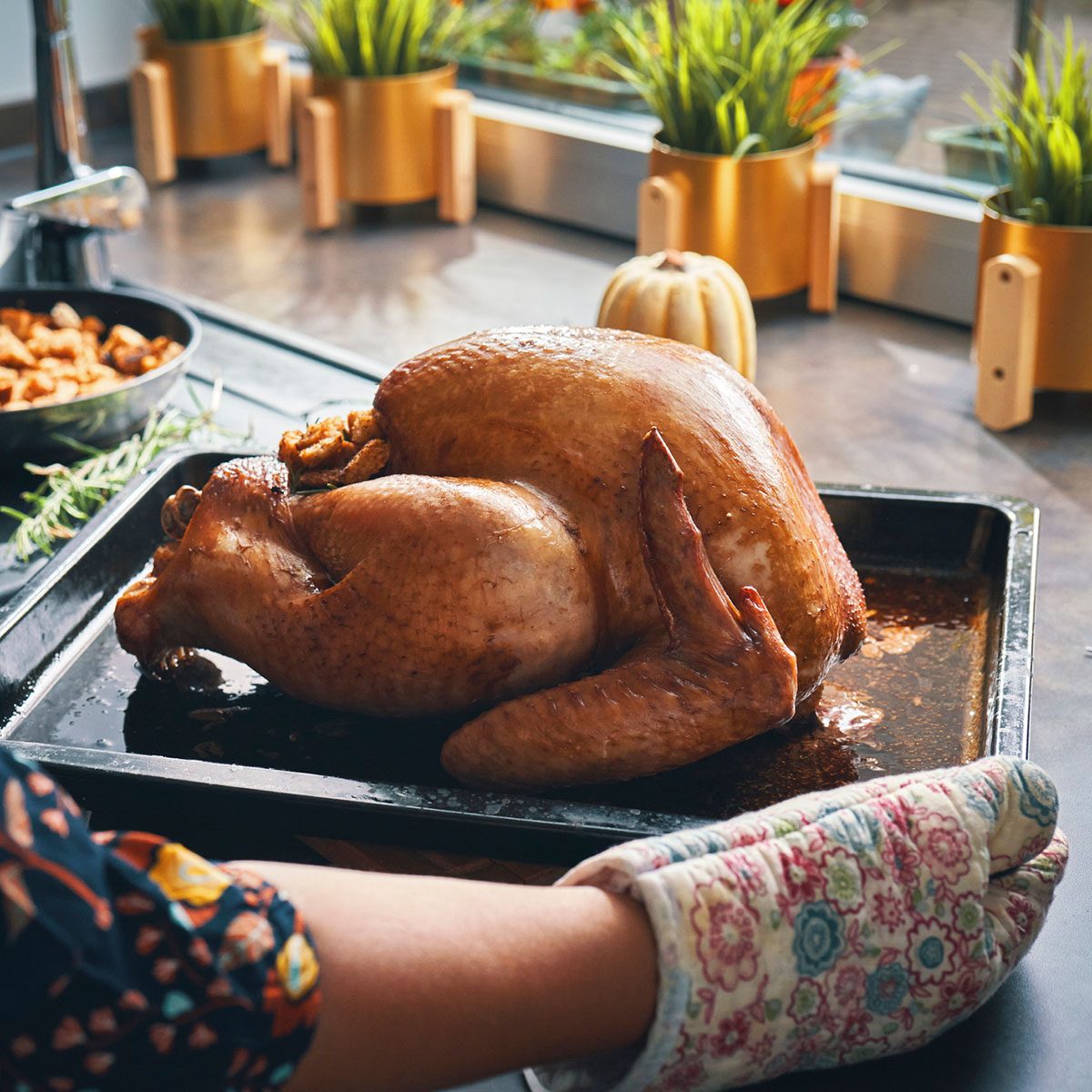 Cooked Turkey on kitchen counter