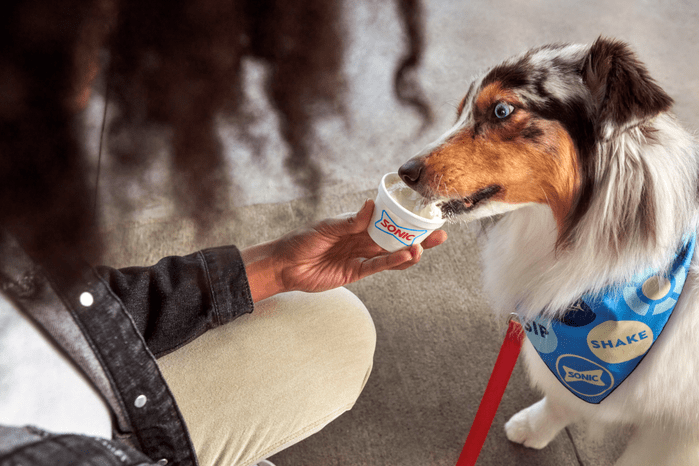 Sonic Dog Treats
