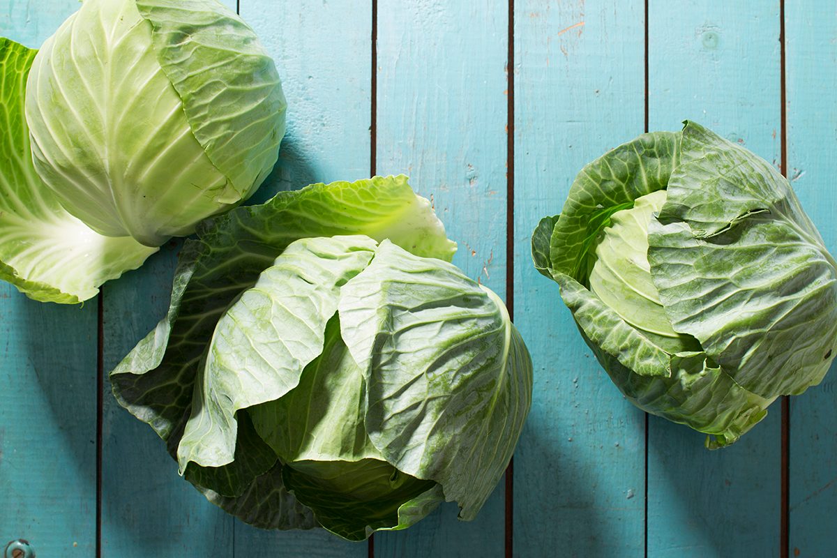 Tmbstk Cabbage 2017 B10 31 14b