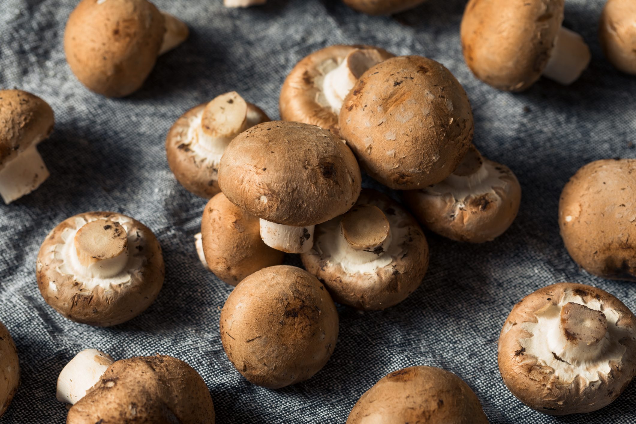 How to Wash Mushrooms