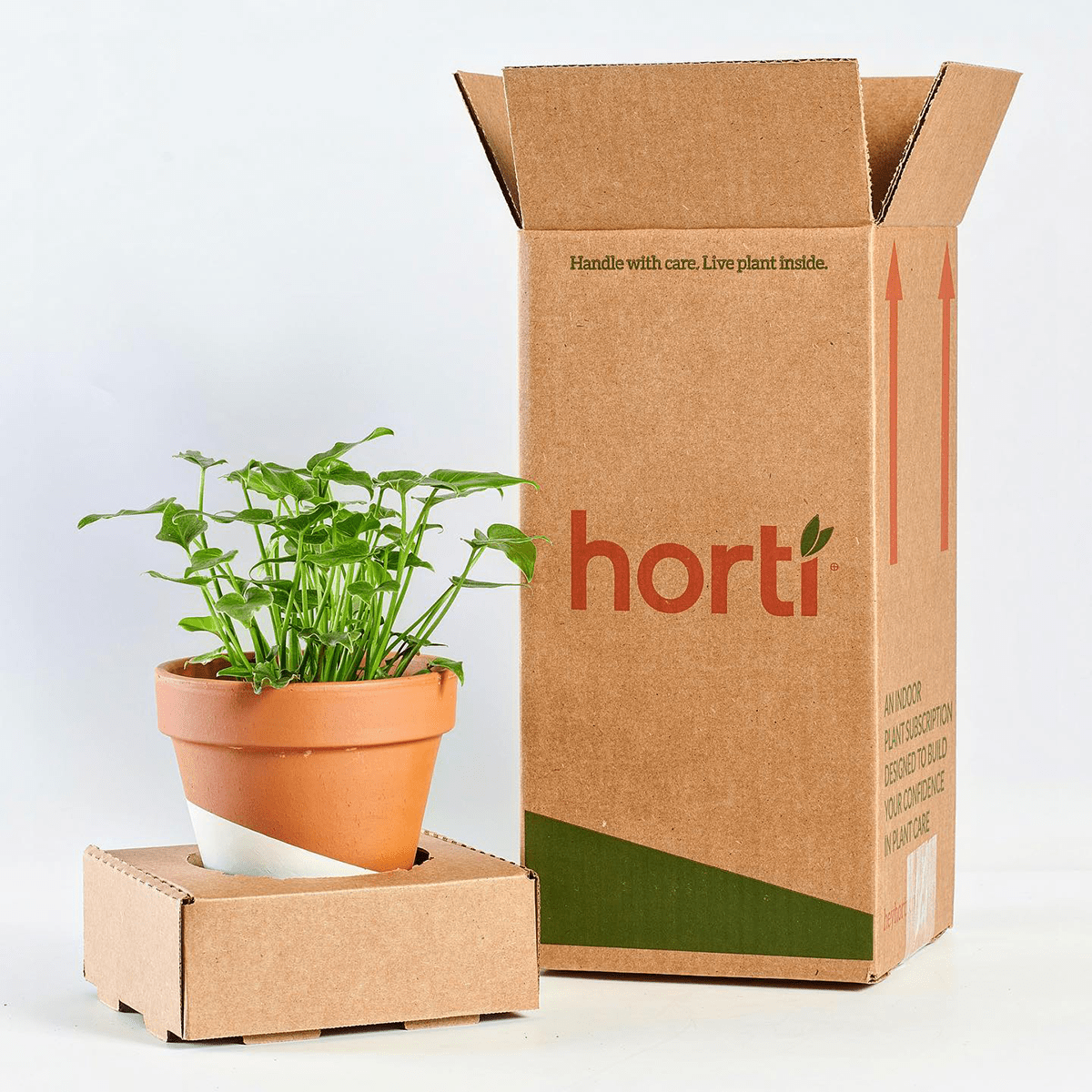 Horti Plant Subscription Box