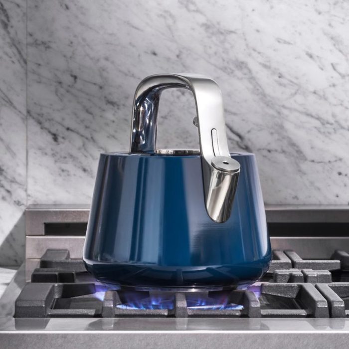 Whistling Tea Kettle