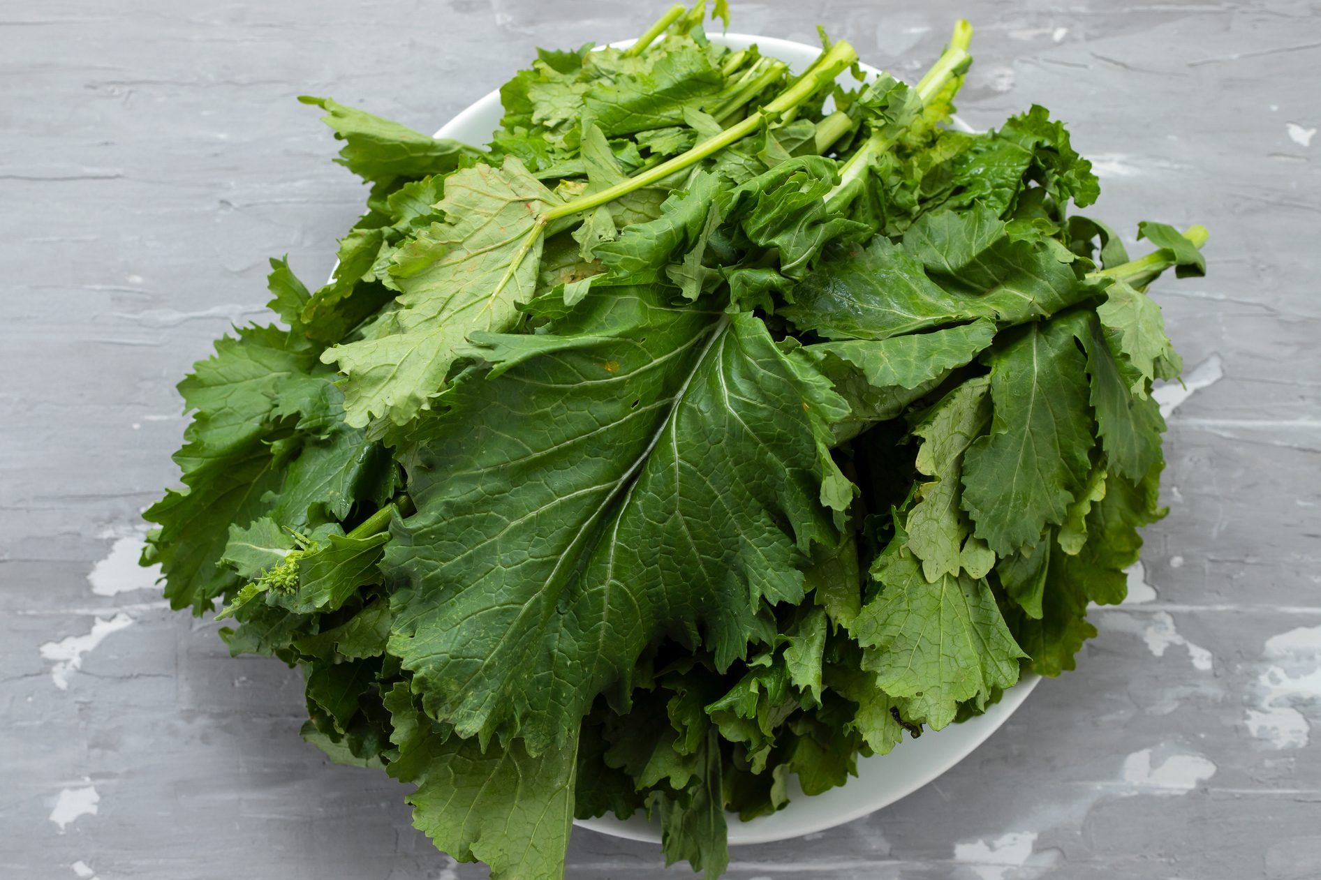 turnip greens on white dish on ceramic background