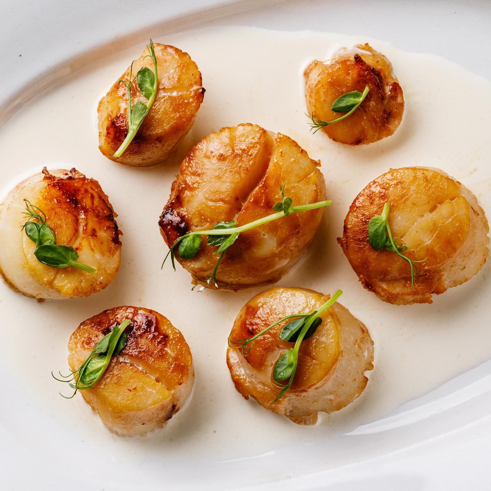 Cooked Scallops Gettyimages 1132433841