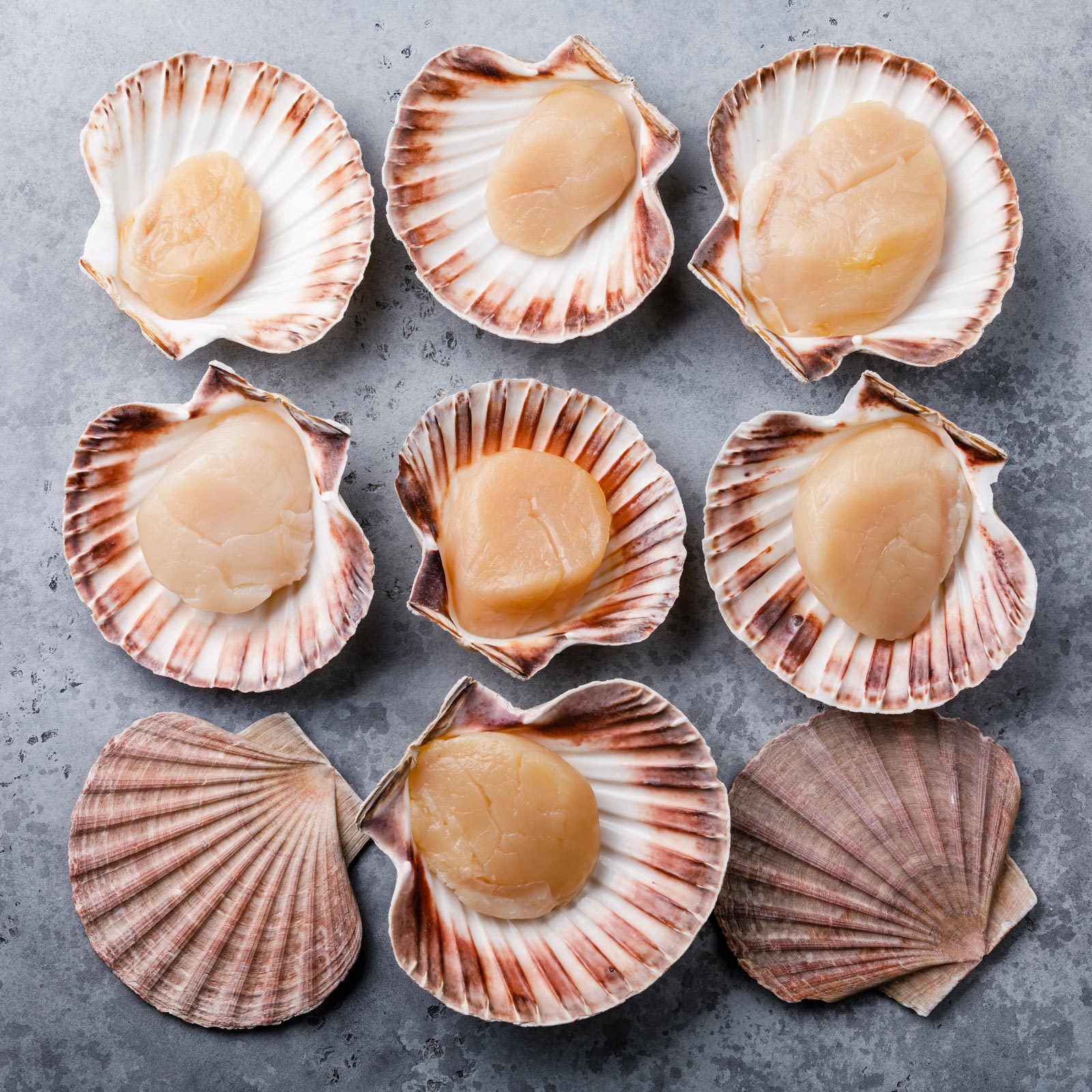 What Are Scallops and What Do They Taste Like?