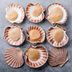 What Are Scallops and What Do They Taste Like?