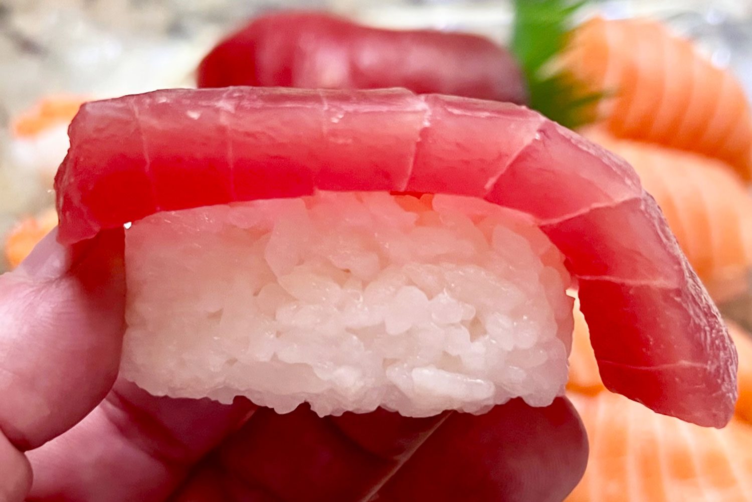 Tuna Nigiri Lesley Balla 