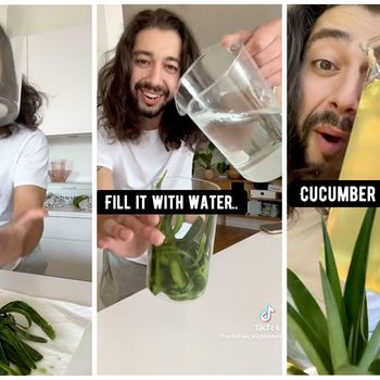 Cucumber Peel Water Nutrient Hack Via Creative_Explained TikTok