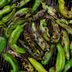 What Are Hatch Chiles and How Do You Roast Them?