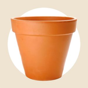 Clay Plant Pot