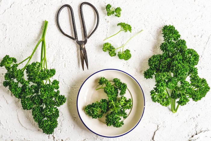 Fresh parsley overhead still life