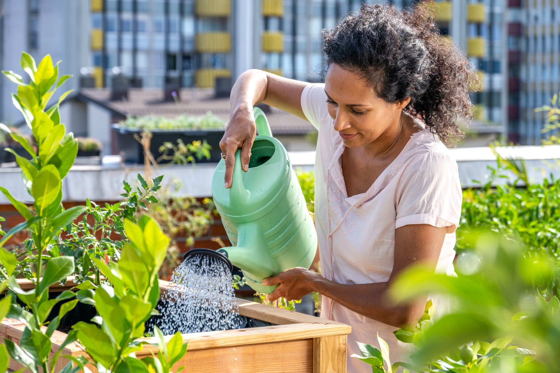 When and How Often You Should Water Your Plants