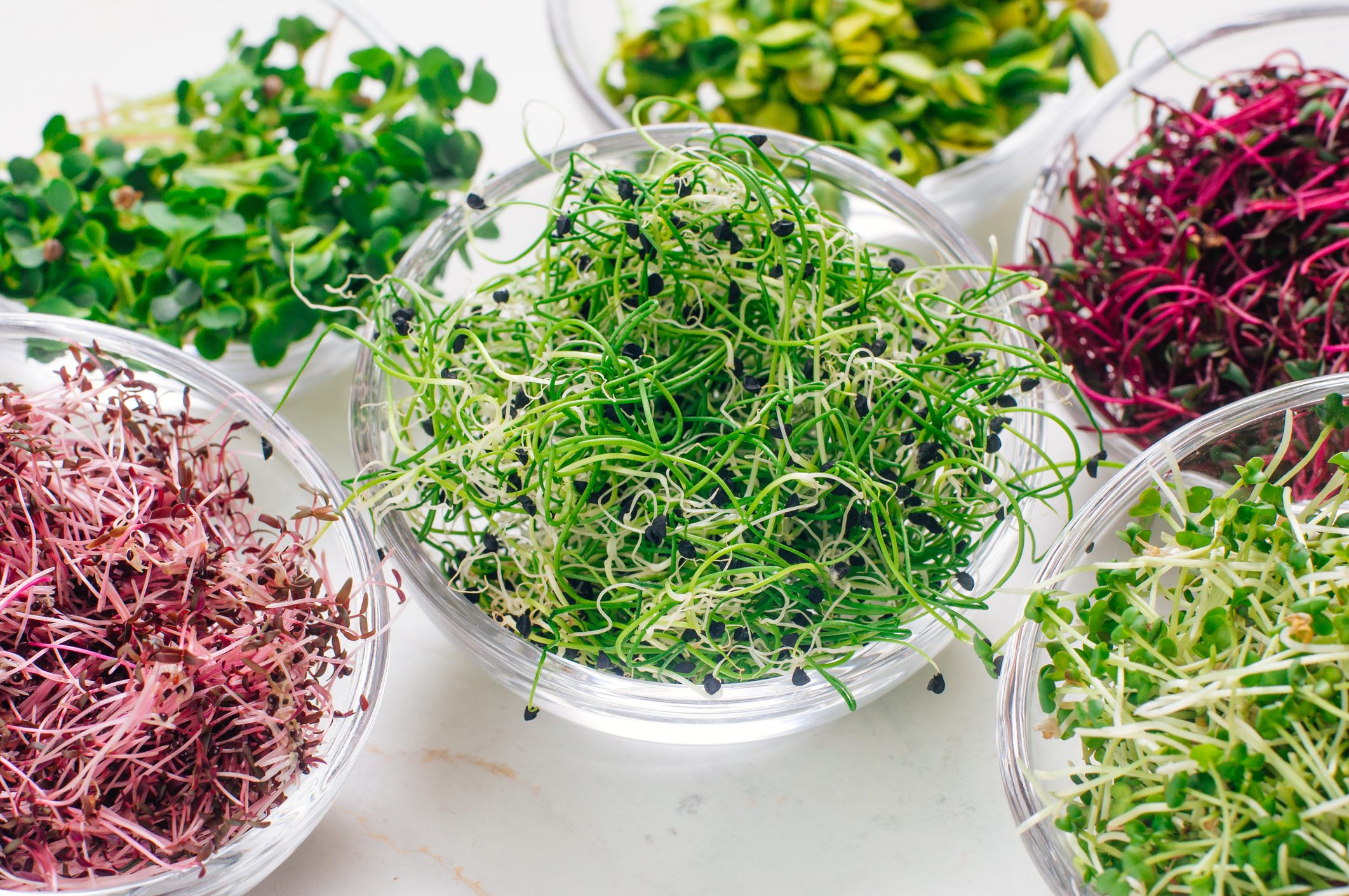 Micro greens sprouts of onion and other sprouts in glass bowls