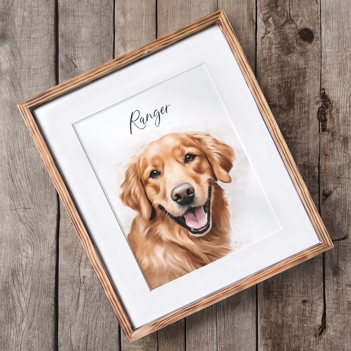 Custom Pet Portrait