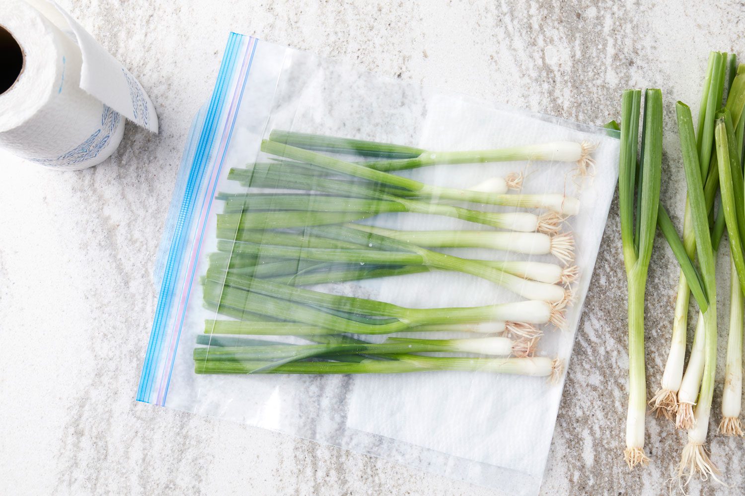 green onions prepped for storage in a plastic bag with a damp paper towel 